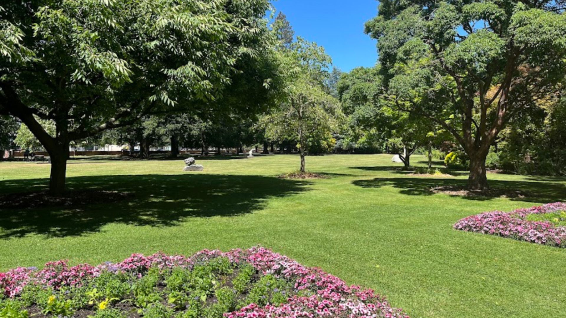 Luxury stay in Ashburton